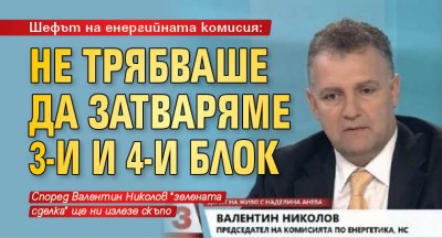 Шефът на енергийната комисия: Не трябваше да затваряме 3-и и 4-и блок