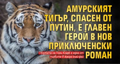 Амурският тигър, спасен от Путин, е главен герой в нов приключенски роман