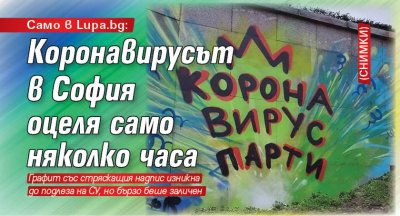 Само в Lupa.bg: Коронавирусът в София оцеля само няколко часа (СНИМКИ)