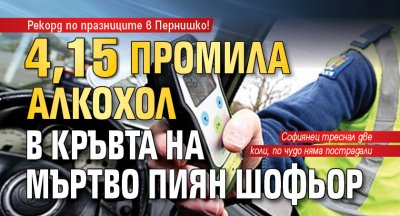 4,15 промила алкохол в кръвта на мъртво пиян шофьор