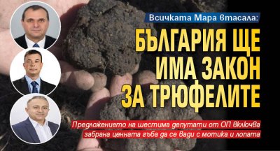 Всичката Мара втасала: България ще има Закон за трюфелите