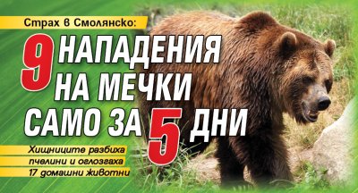 Страх в Смолянско: 9 нападения на мечки само за 5 дни