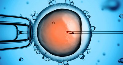 Създадоха човешки ембрион от кожни клетки