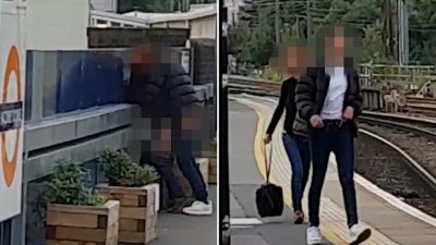 Германци правят секс във влак пред деца