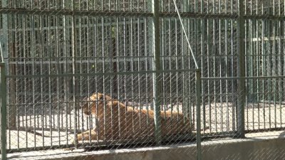 Комисия проверява зоопарковете в Хасково и Димитровград