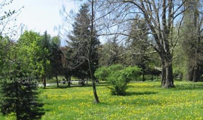 От утре в София пръскат срещу комари и кърлежи