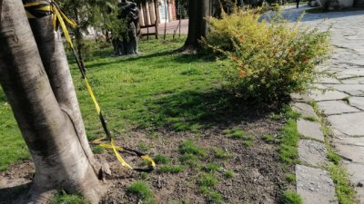 Вандали късат предпазните ленти в Пловдив