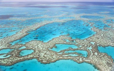 Големият бариерен риф избеля за трети път само за пет години