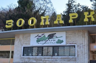 Роми отмъкнаха храната на зоопарка в Благоевград