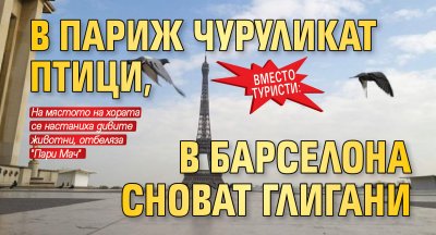 Вместо туристи: В Париж чуруликат птици, в Барселона сноват глигани