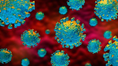 Полски учени откриха как да забавят коронавируса