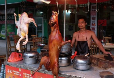Първи китайски град забрани яденето на котки и кучета