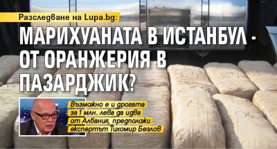 Разследване на Lupa.bg: Марихуаната в Истанбул - от оранжерия в Пазарджик?