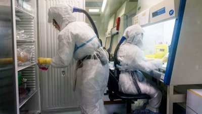 Европейската агенция по лекарствата предвижда 1 г. за създаване на ваксина