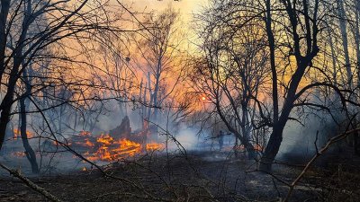 2020-а, спри се: Не могат да овладеят пожар при Чернобил