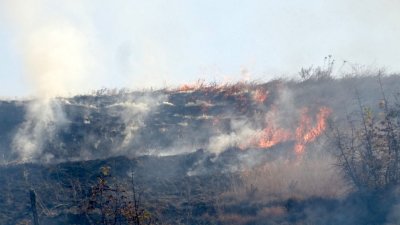 Пожар при границата със Сърбия край Трекляно