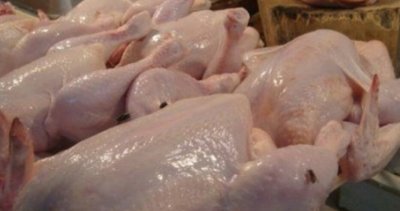БАБХ спря 32 тона пилешко месо със салмонела от Полша