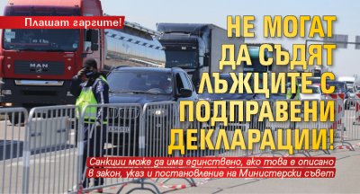 Плашат гаргите! Не могат да съдят лъжците с подправени декларации!