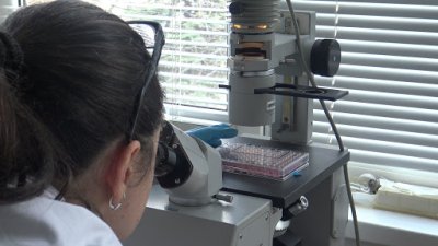 БАН разработва лек срещу COVID-19 с дарение от Делян Пеевски 