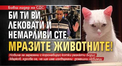Бивш лидер на СДС: Би Ти Ви, лековати и немарливи сте, мразите животните!