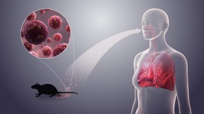Тъжната истина: Covid-19 няма да изчезне, ще живеем с него