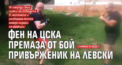 Фен на ЦСКА премаза от бой привърженик на Левски (СНИМКИ И ВИДЕО)