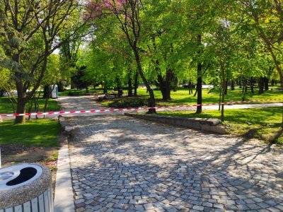 Махат лентите в големите паркове в София 
