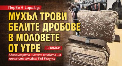 Първо в Lupa.bg: Мухъл трови белите дробове в моловете от утре (СНИМКИ)