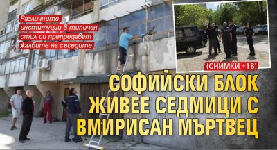 Софийски блок живее седмици с вмирисан мъртвец (СНИМКИ 18+)