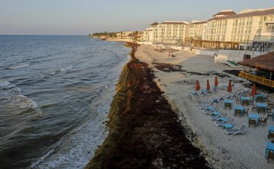 Мексиканските плажове замърсени от водорасли
