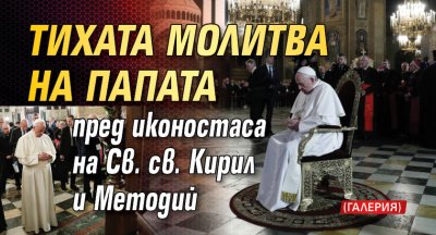 Тихата молитва на папата пред иконостаса на Св. св. Кирил и Методий (ГАЛЕРИЯ)