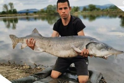 Перничанин улови моруна гигант