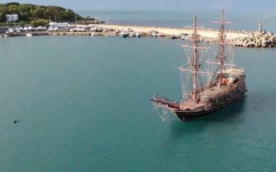 Пасажи от делфини в морето край Царево (СНИМКИ)