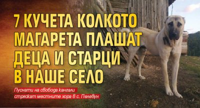 7 кучета колкото магарета плашат деца и старци в наше село 