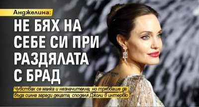 Анджелина: Не бях на себе си при раздялата с Брад