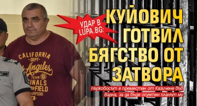 Удар в Lupa.bg: Куйович готвил бягство от затвора 