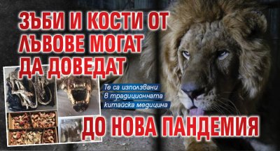 Зъби и кости от лъвове могат да доведат до нова пандемия