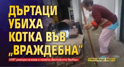 Дъртаци убиха котка във "Враждебна" (УЖАСЯВАЩО ВИДЕО)