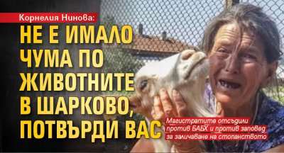 Корнелия Нинова: Не е имало чума по животните в Шарково, потвърди ВАС