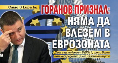 Само в Lupa.bg: Горанов признал: Няма да влезем в еврозоната 