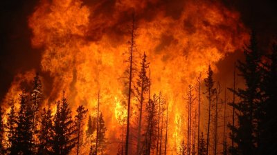 Невиждан пик на пожарите в Амазонската джунгла