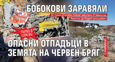 Първо в Lupa.bg: Бобокови заравяли опасни отпадъци в земята на Червен бряг (СНИМКИ)