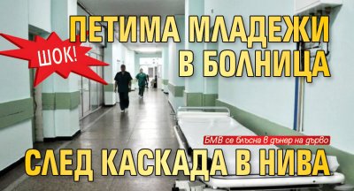 ШОК! Петима младежи в болница след каскада в нива
