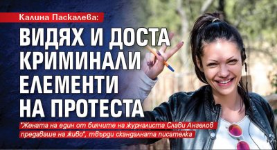 Калина Паскалева: Видях и доста криминали елементи на протеста