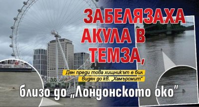 Забелязаха акула в Темза, близо до „Лондонското око”