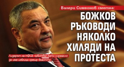 Валери Симеонов сметна: Божков ръководи няколко хиляди на протеста