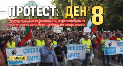Протест: Ден 8 (СНИМКИ)