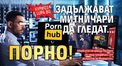Куриоз в Lupa.bg: Задължават митничари да гледат... порно!