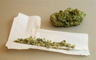 Откриха марихуана у 19-годишен от Монтана