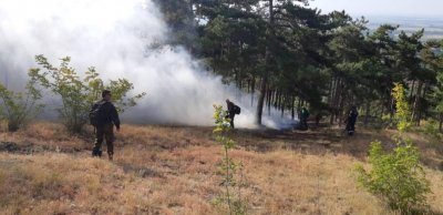 Армията се включи в потушаването на пожара край село Дълбоки